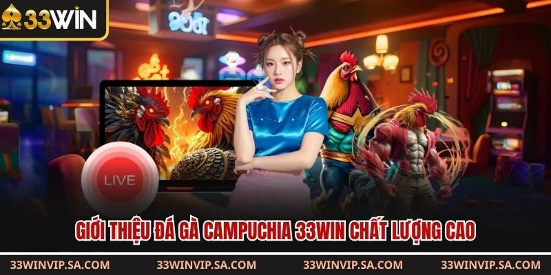 Giới thiệu đá gà Campuchia 33WIN chất lượng cao 